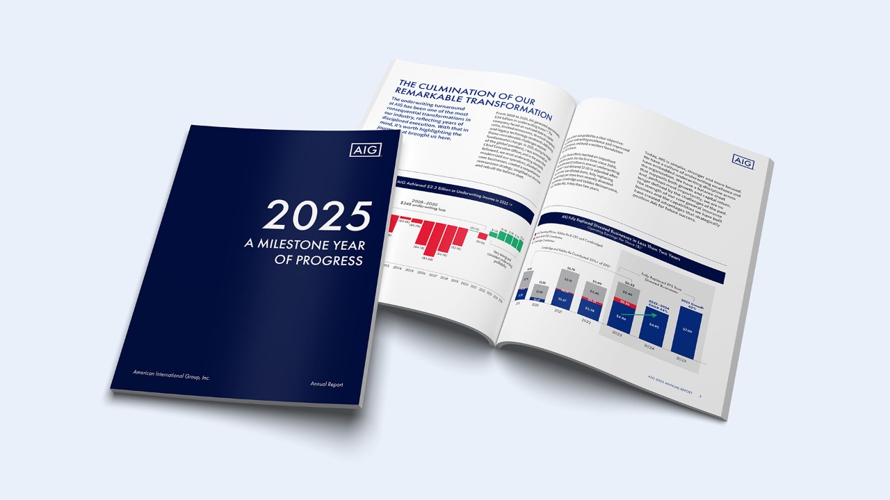AIG-jaarverslag